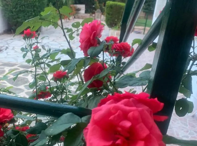 Apartment Marble Ksamil